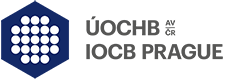 IOCB logo
